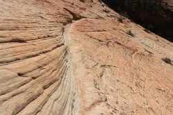 IMG_6509.jpg IMG_6509.jpg