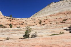 IMG_6511.jpg IMG_6511.jpg