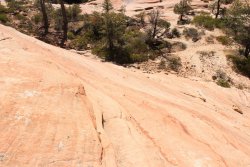 IMG_6514.jpg IMG_6514.jpg