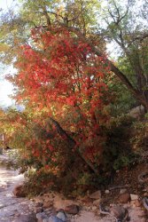 IMG_6519.jpg IMG_6519.jpg