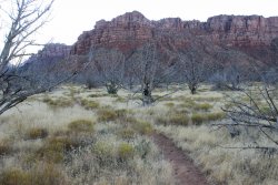 IMG_6522.jpg IMG_6522.jpg