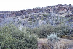 IMG_6526.jpg IMG_6526.jpg