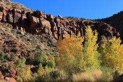 IMG_6532.jpg IMG_6532.jpg