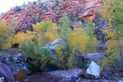 IMG_6536.jpg IMG_6536.jpg