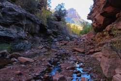 IMG_6538.jpg IMG_6538.jpg