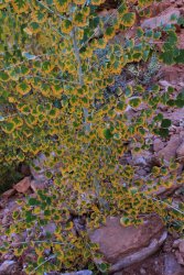 IMG_6539.jpg IMG_6539.jpg