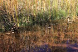 IMG_6541.jpg IMG_6541.jpg