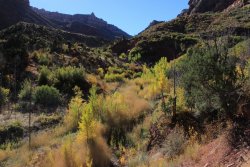 IMG_6547.jpg IMG_6547.jpg