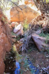 IMG_6554.jpg IMG_6554.jpg