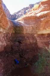 IMG_6557.jpg IMG_6557.jpg