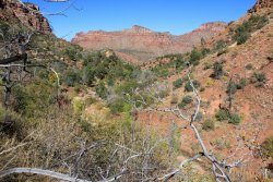 IMG_6558.jpg IMG_6558.jpg