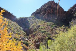 IMG_6561.jpg IMG_6561.jpg