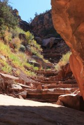 IMG_6566.jpg IMG_6566.jpg