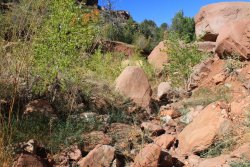 IMG_6568.jpg IMG_6568.jpg