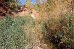 IMG_6569.jpg IMG_6569.jpg