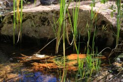 IMG_6571.jpg IMG_6571.jpg