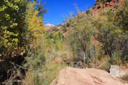 IMG_6572.jpg IMG_6572.jpg