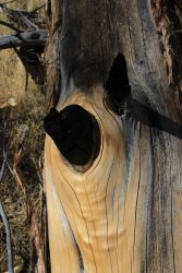 IMG_6578.jpg IMG_6578.jpg