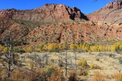 IMG_6581.jpg IMG_6581.jpg