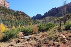 IMG_6579.jpg IMG_6579.jpg