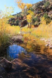 IMG_6584.jpg IMG_6584.jpg