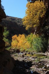 IMG_6587.jpg IMG_6587.jpg