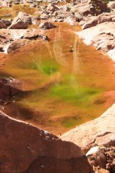 IMG_6586.jpg IMG_6586.jpg