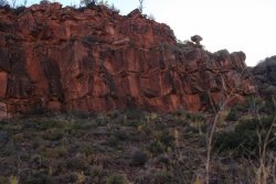 IMG_6593.jpg IMG_6593.jpg