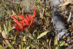 IMG_6597.jpg IMG_6597.jpg