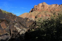 IMG_6599.jpg IMG_6599.jpg