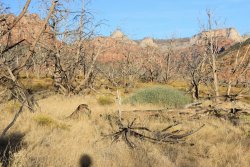 IMG_6604.jpg IMG_6604.jpg