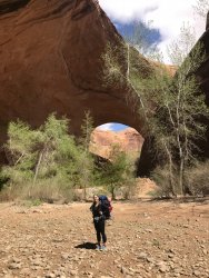 EE319B00-BB8C-48C6-8F71-E4CD94844745.jpeg EE319B00-BB8C-48C6-8F71-E4CD94844745.jpeg