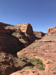 46F6864D-55AC-4702-B5F8-4FDDB15889E0.jpeg 46F6864D-55AC-4702-B5F8-4FDDB15889E0.jpeg