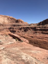 42E57A6E-9F47-4C3B-9DA2-EB3B0D1C7742.jpeg 42E57A6E-9F47-4C3B-9DA2-EB3B0D1C7742.jpeg