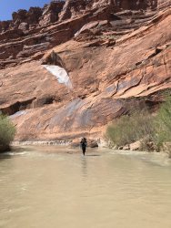 2BEEB0CC-B2D4-41A2-A12F-40CE5BF8EDF6.jpeg 2BEEB0CC-B2D4-41A2-A12F-40CE5BF8EDF6.jpeg