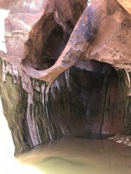 5EE5D79C-E38C-4333-BC6F-4649537C1A42.jpeg 5EE5D79C-E38C-4333-BC6F-4649537C1A42.jpeg