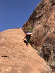 7D70F683-48D8-4F3D-8042-234849037405.jpeg 7D70F683-48D8-4F3D-8042-234849037405.jpeg