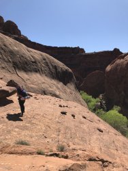 8FD661F5-7A62-4338-B9DD-D0A91B88EDB5.jpeg 8FD661F5-7A62-4338-B9DD-D0A91B88EDB5.jpeg