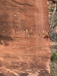 453A65A6-CB83-4484-A48F-B55B53B7C0AC.jpeg 453A65A6-CB83-4484-A48F-B55B53B7C0AC.jpeg