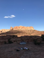 3FB41638-1E37-4986-B6F4-B51AC659A322.jpeg 3FB41638-1E37-4986-B6F4-B51AC659A322.jpeg