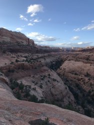 09F465CC-F281-4B67-BB9D-361B7129767C.jpeg 09F465CC-F281-4B67-BB9D-361B7129767C.jpeg