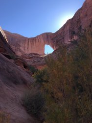 DEF1EC37-BDA7-4535-8FB4-8946C2D84886.jpeg DEF1EC37-BDA7-4535-8FB4-8946C2D84886.jpeg