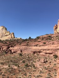 E50AC81A-6BB8-4142-A593-0D2934CB9CB8.jpeg E50AC81A-6BB8-4142-A593-0D2934CB9CB8.jpeg