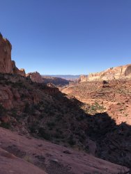 CDC891BB-72A3-4C4A-928C-1D787AE11ADF.jpeg CDC891BB-72A3-4C4A-928C-1D787AE11ADF.jpeg