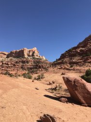 BFEA5B8C-776F-4090-A5FD-BC1F4E1F6DD4.jpeg BFEA5B8C-776F-4090-A5FD-BC1F4E1F6DD4.jpeg