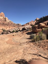 A950F45B-D4AA-4876-84F4-AEF33864F0CF.jpeg A950F45B-D4AA-4876-84F4-AEF33864F0CF.jpeg