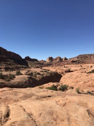 D9D17191-A8A8-4FB1-80C8-3901DF32890D.jpeg D9D17191-A8A8-4FB1-80C8-3901DF32890D.jpeg