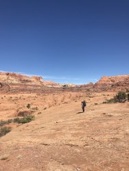 DB916600-24D5-4BF1-B592-5CC7E2B2269B.jpeg DB916600-24D5-4BF1-B592-5CC7E2B2269B.jpeg