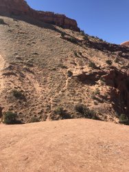 56734586-A85A-48B1-823A-E2EA33C997CF.jpeg 56734586-A85A-48B1-823A-E2EA33C997CF.jpeg