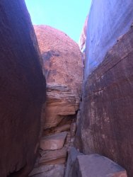 D8AF8977-BF46-4445-8BE8-B70A567DAB81.jpeg D8AF8977-BF46-4445-8BE8-B70A567DAB81.jpeg